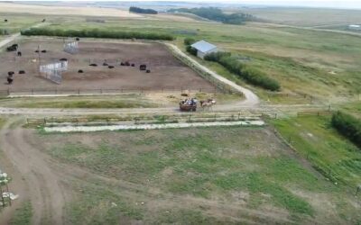 Alberta Open Farm Days